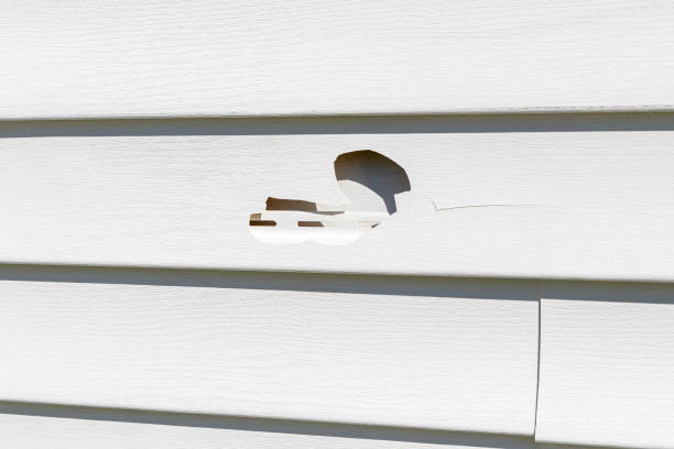 ### Storm Damage Siding Repair in Meggett, SC